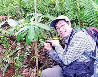 2016年1月に植樹された「バラム」は、成人の腰の高さにまで生長していた。「苗木と添え木を結びつける紐は、周囲に生えた蔓を代用している様子を見て、苗木に対するスタッフの優しい心遣いと丁寧な育林活動に感動しました」と永井さん