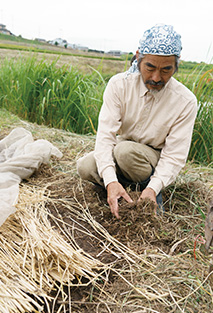 「結いまーる自然農園」│山梨県北杜市 取材/原口真吾 写真/堀 隆弘 玉ねぎ苗床横の土の状態を見ている三井和夫さん