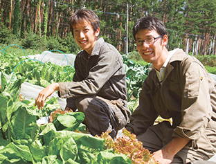 (株) AOB慧央(けいおう)グループ│山梨県北杜市 レインボーファームでサニーレタスを収穫する。左が、管理責任者の山野洋輝さん 取材/原口真吾(本誌) 写真/堀 隆弘