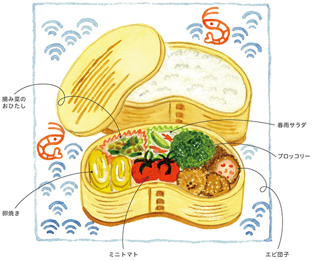 illustration 天野恭子