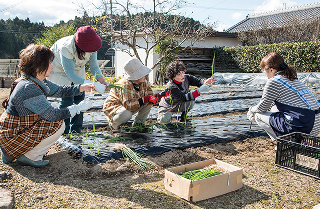 粂田多枝子(くめた・たえこ)さん 69歳・滋賀県甲賀市 「ありがとうございます」と唱えながら、この日は1500本の苗を植えた。右から2人目が粂田さん 取材/南野ゆうり 撮影/野澤 廣
