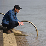 hidokei86_rupo_ninki_a