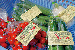 厨房に入荷した無農薬・有機栽培の野菜
