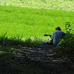 hidokei98_kaisetu_ninki