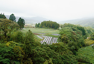 佐世保市潜木町の山間にある「菌ちゃんふぁーむ」