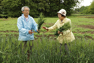 熊谷正一郎(くまがい・しょういちろう)さん│78歳│宮城県栗原市 取材/多田茂樹 写真/近藤陽介 熊谷さんと妻の澄子さん。畑で実った大麦を手に