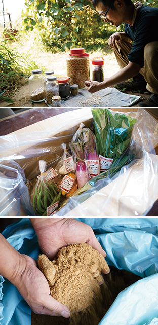 上:自家採種した種はよく乾燥させて、瓶に保存する/中:旬の新鮮な野菜を丁寧に包んで出荷する/下:米糠に竹炭を混ぜて発酵させた植物性の肥料