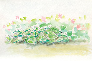 イラストは筆者