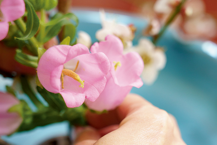 花の調和した姿を思い描き 穏やかな心で生ける いのちの環 No 110 5月号