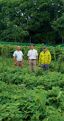 生長の家国際本部が借りている北杜市大泉町の畑で。ここでは、有機・無農薬で山ウド、タマネギ、ジャガイモなどを栽培している。左は、畑の管理者で国際本部職員の伊藤文昭さん