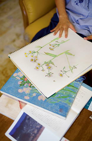 ハルジオンのスケッチ(上)と、完成間近の作品(下)。細部までしっかり観察し、その花の美しさを見つけ出す