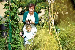 様々な野菜が植えられている自宅の畑で、お子さんと収穫
