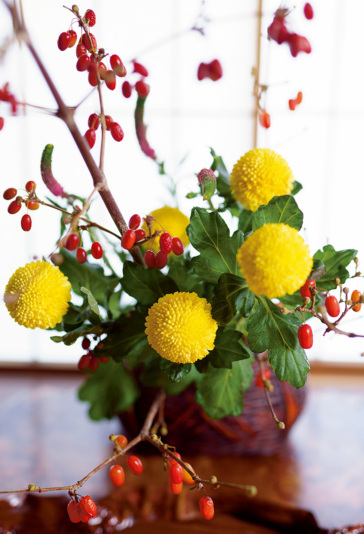 花の持つ個性を生かし 自然の中で咲く姿を表現する いのちの環 No 1 3月号