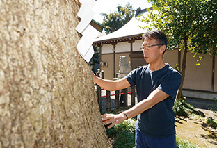 特定非営利活動法人「樹木いきいきプロジェクト」│静岡県富士市 取材・写真／永谷正樹