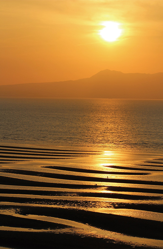 写真1