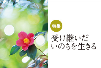 inoti123_rupo_top