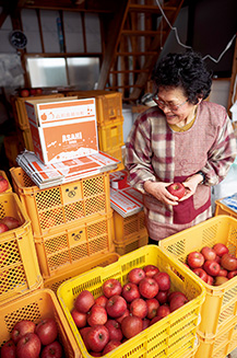 果樹園で収穫したリンゴを手に