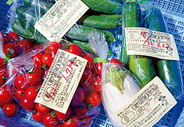 地元の有機農家から入荷した夏野菜