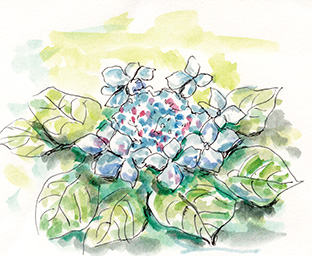 イラストは筆者