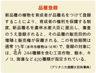 inoti126_rupo_10