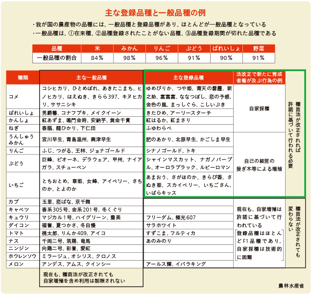 inoti126_rupo_12