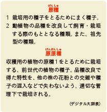 inoti126_rupo_6
