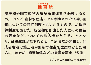 inoti126_rupo_9