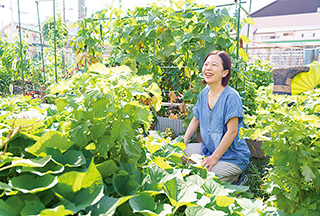 借りている市民農園で。夏の太陽の下、青々と葉を茂らせる野菜の生長ぶりに笑みがこぼれる