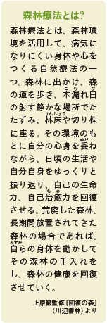 inoti128_rupo_2