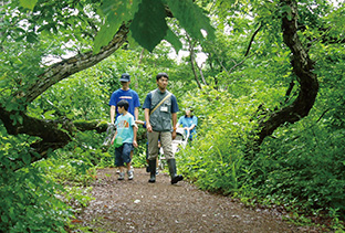 森の中を歩くと、視覚、嗅覚、触覚が刺激され、活性化する(長野県飯山市「母の森と神の森」写真提供=田中淳夫さん)
