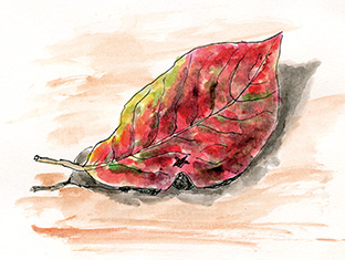 イラストは筆者