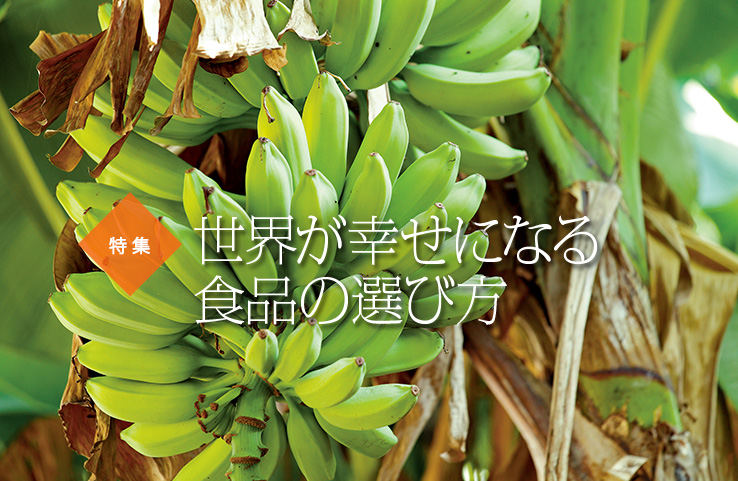 siro129_rupo_title
