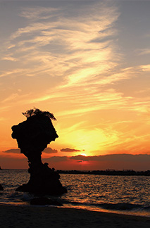 写真2