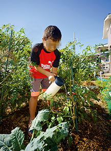 ブロッコリーに米のとぎ汁を与えて生長を観察。「自分で育てた野菜はおいしい!」と満面の笑顔で話してくれた