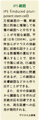 inoti132_rupo_10