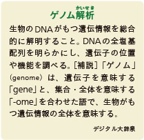 inoti132_rupo_13