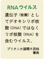 inoti132_rupo_4
