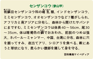 inoti132_rupo_6