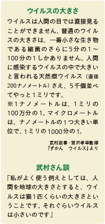 inoti132_rupo_8