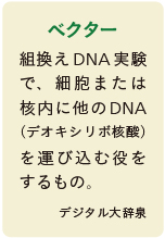 inoti132_rupo_9