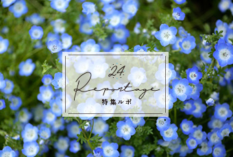 hidokei132_rupo_top_a
