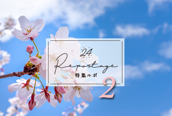 hidokei133_kaisetu2_top_a