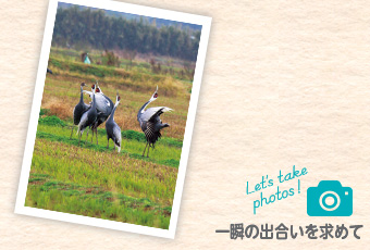 inoti133_issyunnodeai_top