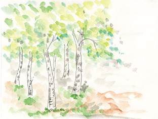 イラストは筆者