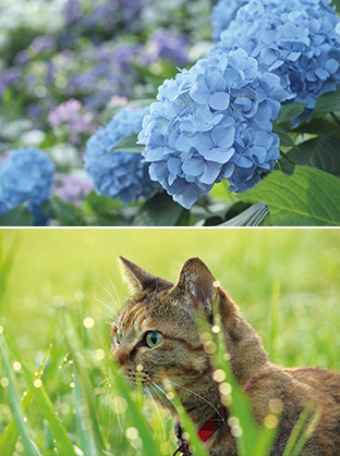 上:写真3/下:写真2