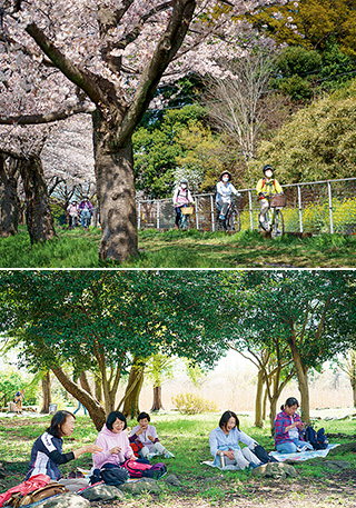 上：心地良い日差しと春風を感じながら桜回廊を走る／下：若葉の作る木陰で、そよ風と野鳥のさえずりに包まれながらのお弁当タイム。コロナ感染防止に配慮して並んで座り、昼食を摂った