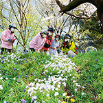 siro136_rupo_ninki