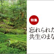 inoti140_rupo_top