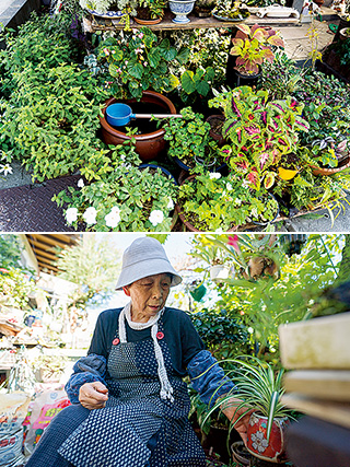 上：「屋根から落ちる雨水を瓶にためて、植物の水やりに使っています」／下：庭の植物を愛でる