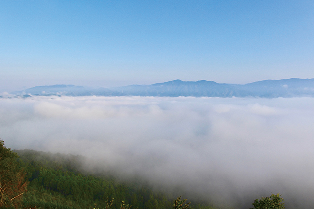 写真1